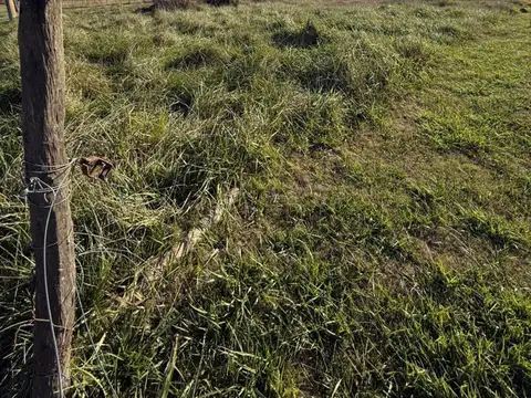 Terreno en Venta de 900,0 m2