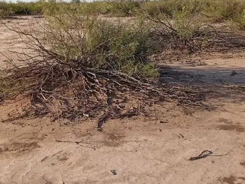 Ruta Nacional 142 100, Piso 0