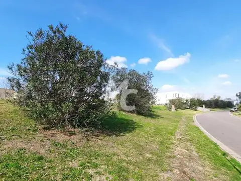 Terreno en Venta de 1,0 m2