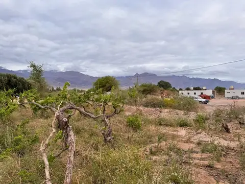 Terreno en Venta de 8651,0 m2