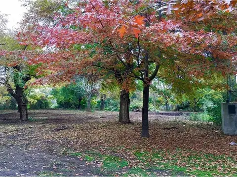 Gran Lote En Venta En Barrio Abierto Dentro De Pilar Del Este,