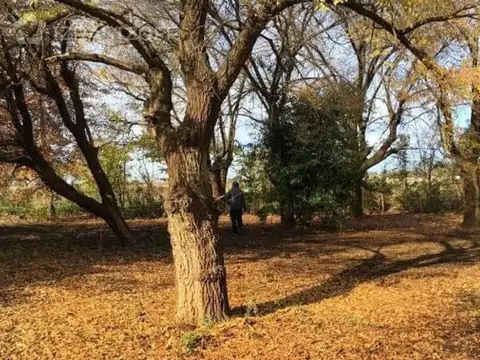 Terreno en Venta de 1780,0 m2