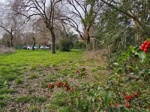 Gran Lote En Venta En Barrio Abierto Dentro De Pilar Del Este,