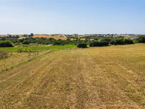 PROPIEDADES RURALES - AGRICOLA - ZONAS RURALES