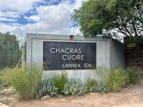 Terreno en Venta en Lujan de Cuyo, Luján de Cuyo