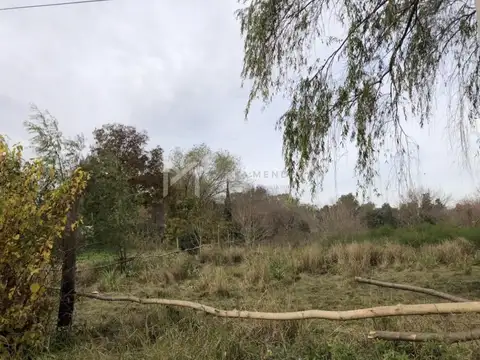 Quintino Bocayuva 100