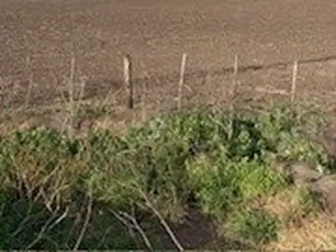 CAMPO MIXTO EN VENTA