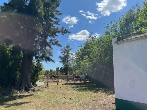 Terreno en Venta de 802,0 m2