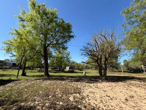 Parana Viejo