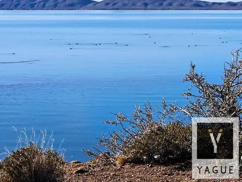 7.000 has sobre el Lago Muster - 15 km de costa - Excelente pesca - Productivo