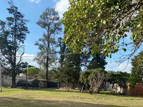 Quinta en Venta 20 años