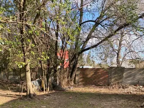 Beato Escrivá De Balaguer  2190