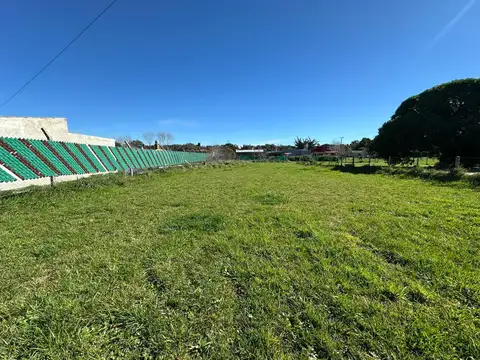 El Cardenal entre La Calandria y las Garzas