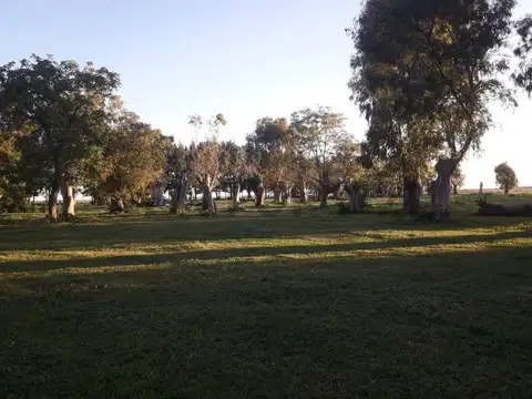 Campo en Ruta 2, km71