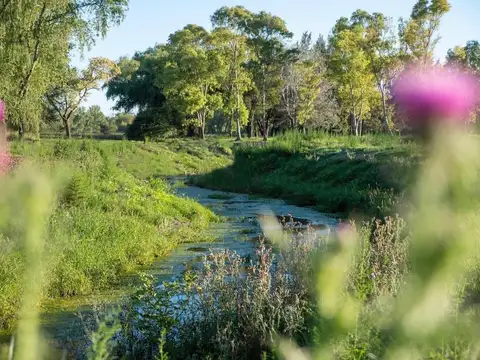 Terreno en Venta 40  mts Fondo