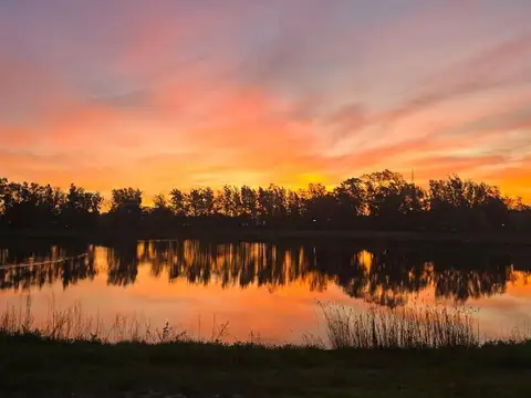 Espectacular lote a la venta en azzurra tortugas