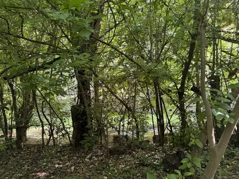 Terreno en Venta de 2225,0 m2