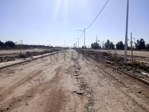 Manuel Cruz Videla 2000, Piso 0