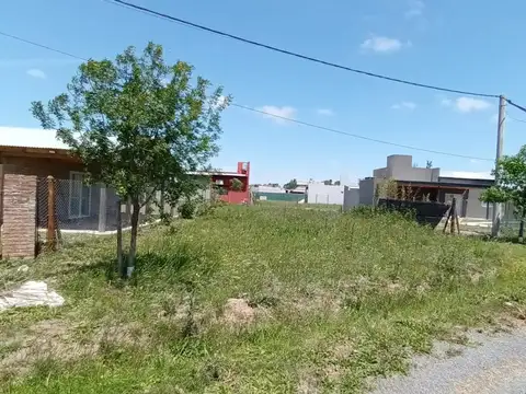 Publica