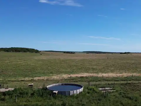 ESTANCIA DE 535 HAS. EN TOAY LA PAMPA