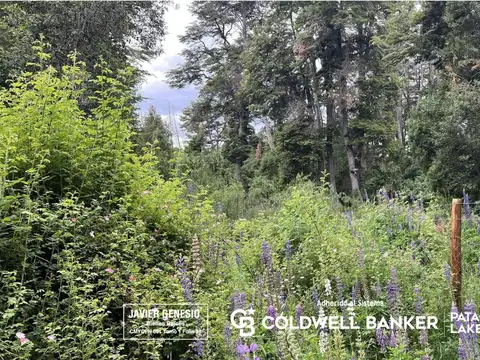 Terreno en Venta de 3109,0 m2
