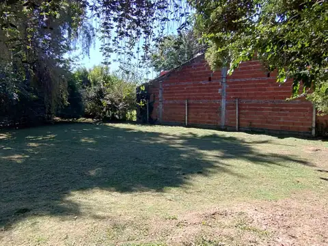 French entre Rosalia de Castro y Vieytes