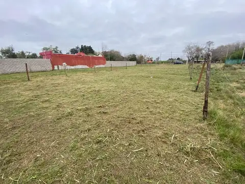 Doctor Tomás de Anchorena 1600