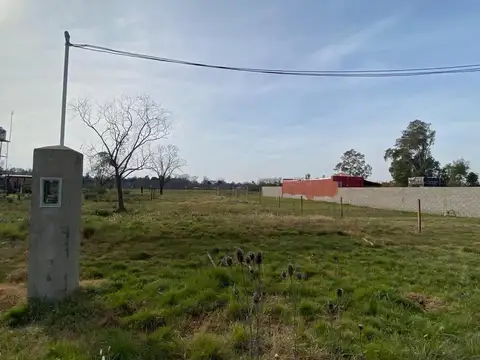 Doctor Tomás de Anchorena 1600