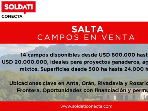 CAMPOS DISPONIBLES PROV. SALTA