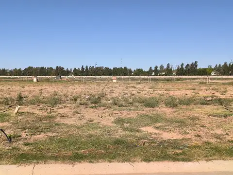 Terreno venta Barrio Silvestre, Nordelta Tigre