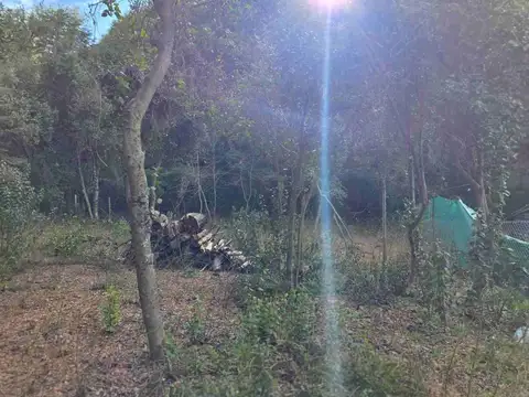 Terreno en Venta de 1433,0 m2