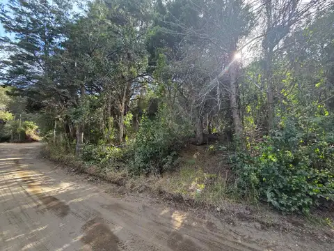 Cachaña