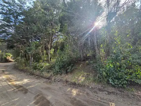 Cachaña