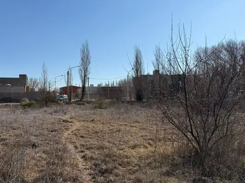 Terreno en Alquiler de 13564,0 m2
