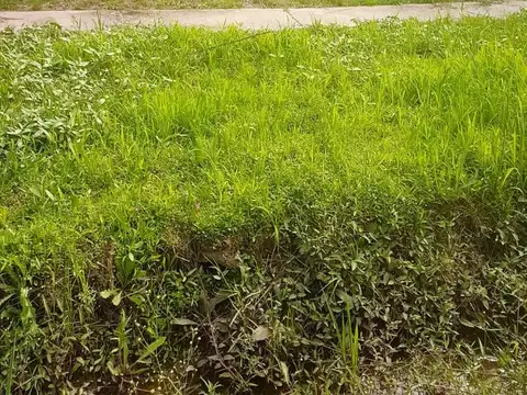 Terreno en Venta en Zona Hipermercado, USD 20.000