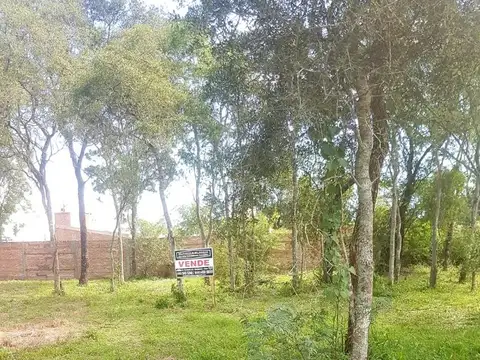 Silva De Gurruchaga M 800