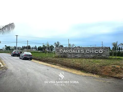 TERRENO EN VENTA, CARDALES CHICO