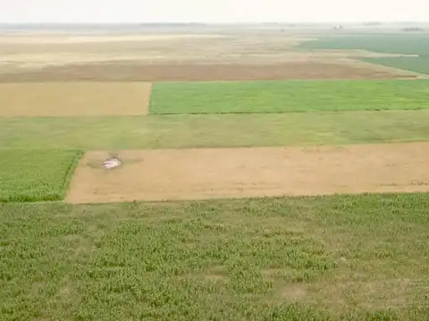 Timote, Carlos Tejedor, BA