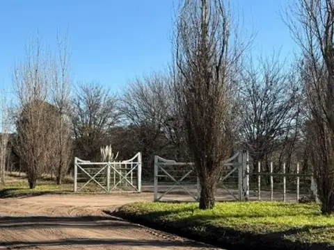 LOTE EN VENTA EN BRAGADO