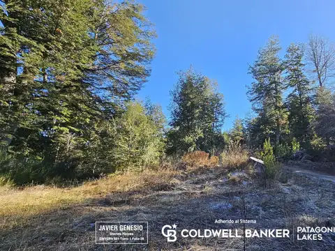 VENTA Lote/Terreno 564 m2 Barrio Cerrado Villa La Angostura