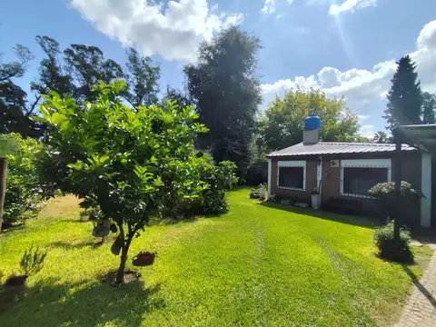 Ignacio de Zuloaga 655