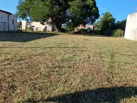 LOTE EN VENTA DE 1000 M² EN CAROLINA CORRIENTES