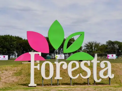 Loteo Foresta - Lote 16 Manzana 19