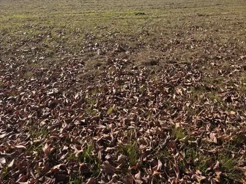 Terreno en Venta de 600,0 m2