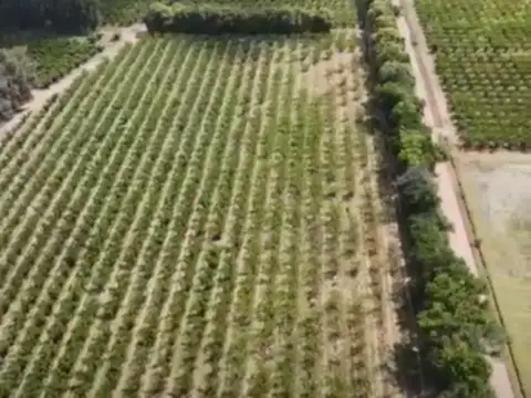Campo en Venta de 17  ha