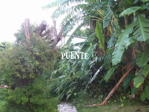 Terreno en Venta 8  mts Frente