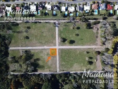 Cipreses y Los Olmos