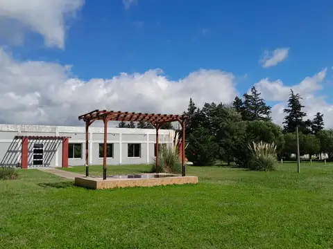 Local en Venta 9 años
