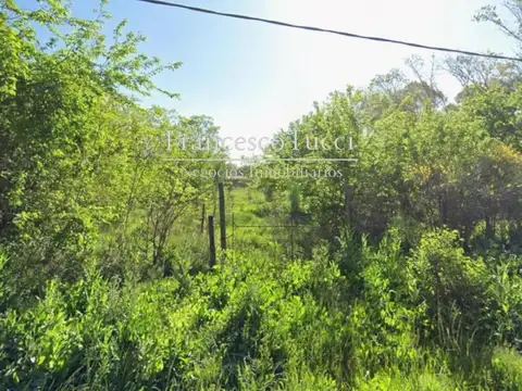 Terreno en Venta de 3549,0 m2