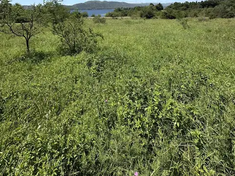 Terreno en Venta de 2500,0 m2